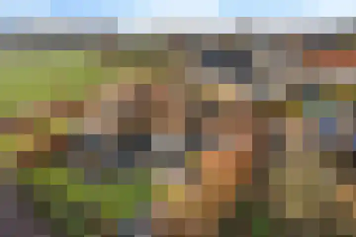 Peinderwei 21 De Tike thumbnail 55