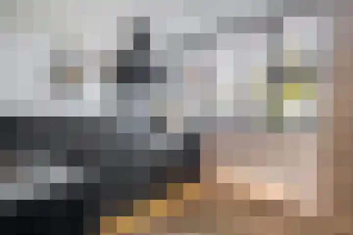 Peizerdiep 2 Pijnacker thumbnail 11