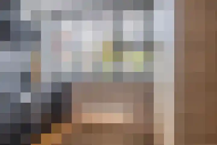 Peizerdiep 2 Pijnacker thumbnail 12