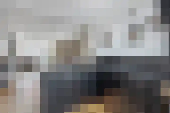 Peizerdiep 2 Pijnacker thumbnail 13