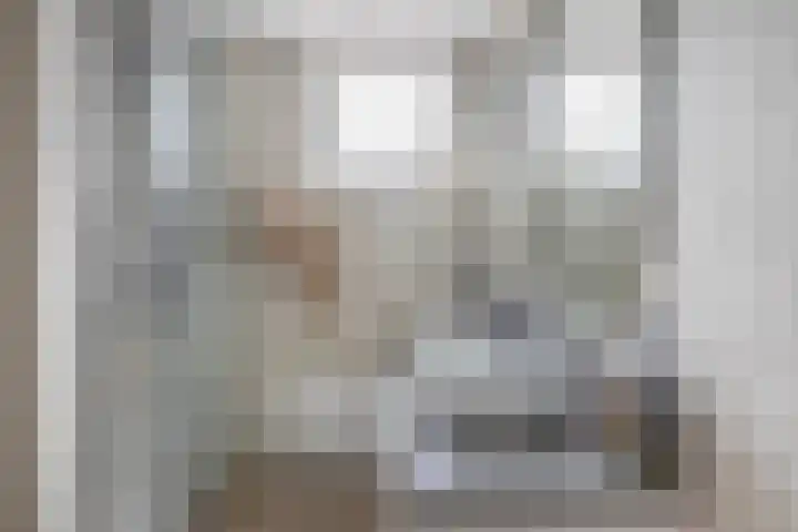 Peizerdiep 2 Pijnacker thumbnail 21