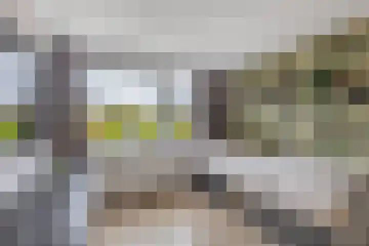 Peizerdiep 2 Pijnacker thumbnail 25