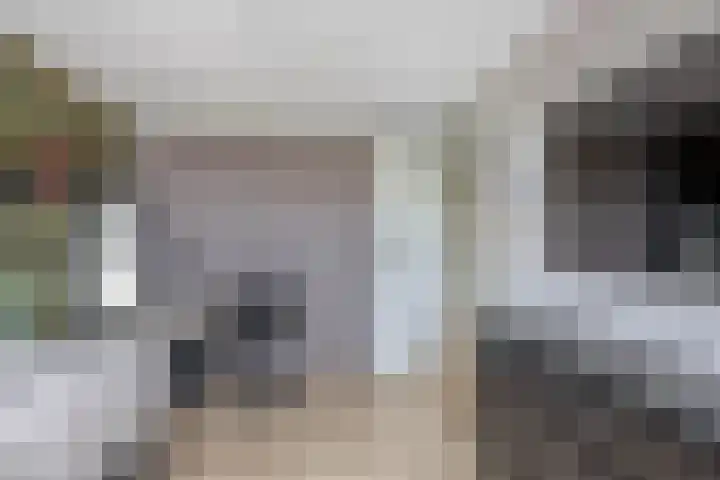 Peizerdiep 2 Pijnacker thumbnail 26