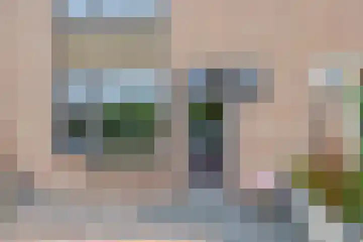 Peizerdiep 2 Pijnacker thumbnail 31