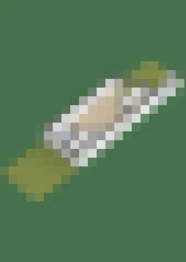 Peizerdiep 2 Pijnacker thumbnail 35