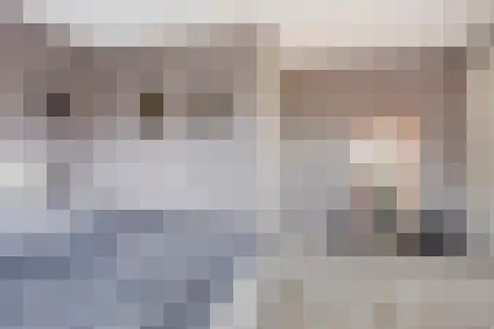 Peizerdiep 2 Pijnacker thumbnail 5