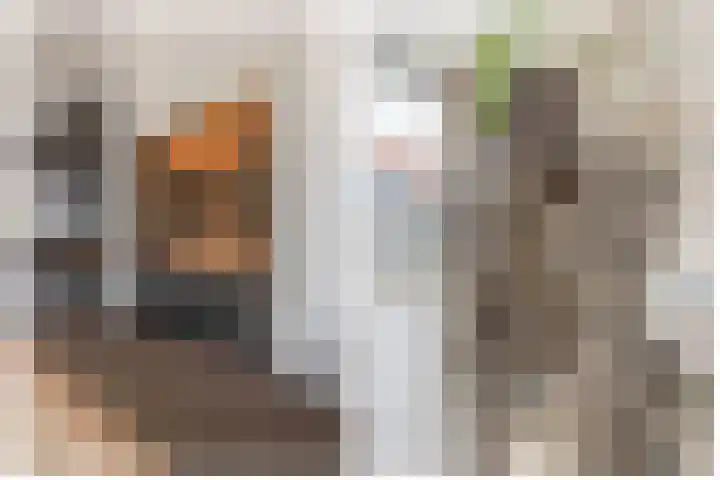 Peizerdiep 2 Pijnacker thumbnail 6