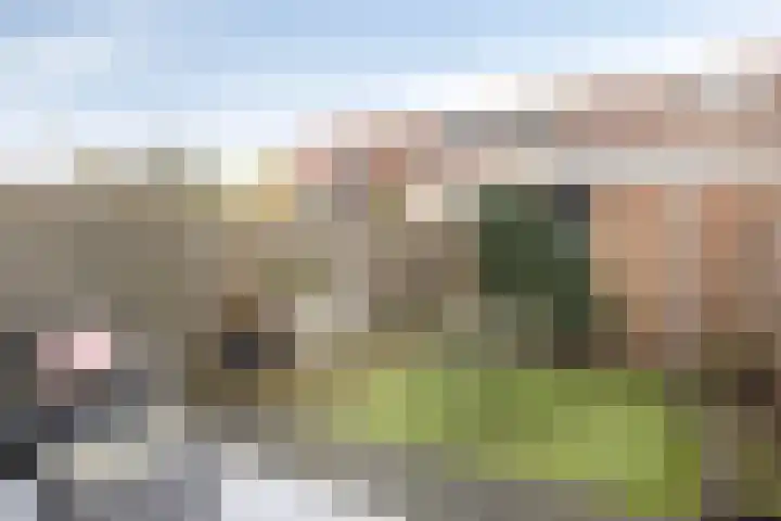 Peizerdiep 4 Pijnacker thumbnail 20