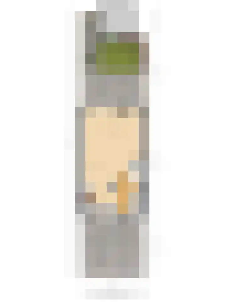 Peizerdiep 4 Pijnacker thumbnail 21
