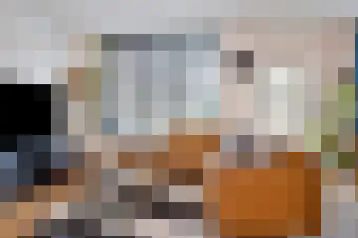 Peizerdiep 4 Pijnacker thumbnail 4