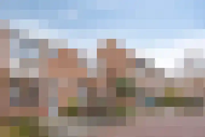 Peizerdiep 4 Pijnacker thumbnail 6