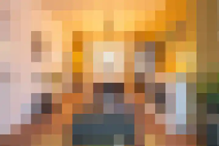 Peizerweg 16 Groningen thumbnail 19
