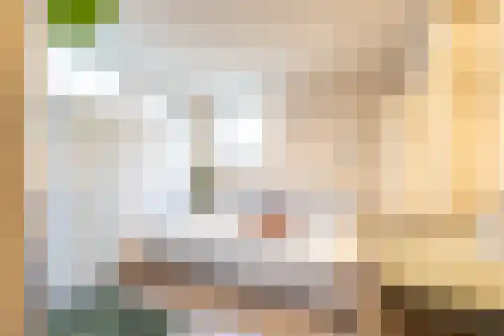 Peizerweg 16 Groningen thumbnail 40