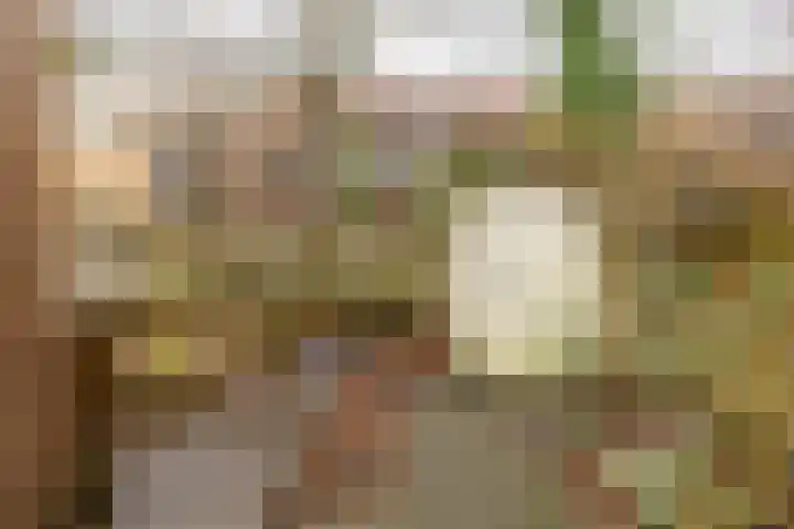 Peizerweg 16 Groningen thumbnail 50