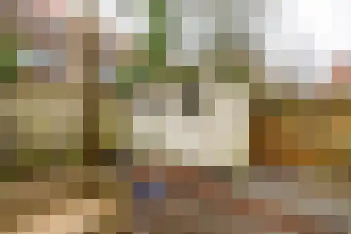 Peizerweg 16 Groningen thumbnail 51