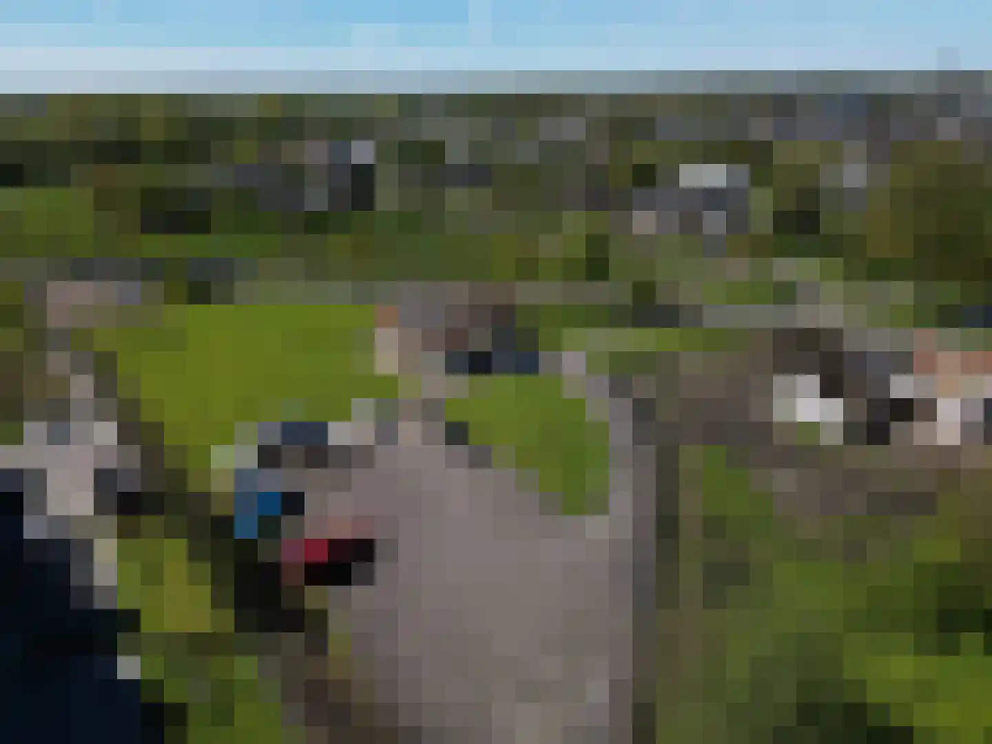 Peizerweg 178 Groningen thumbnail 36