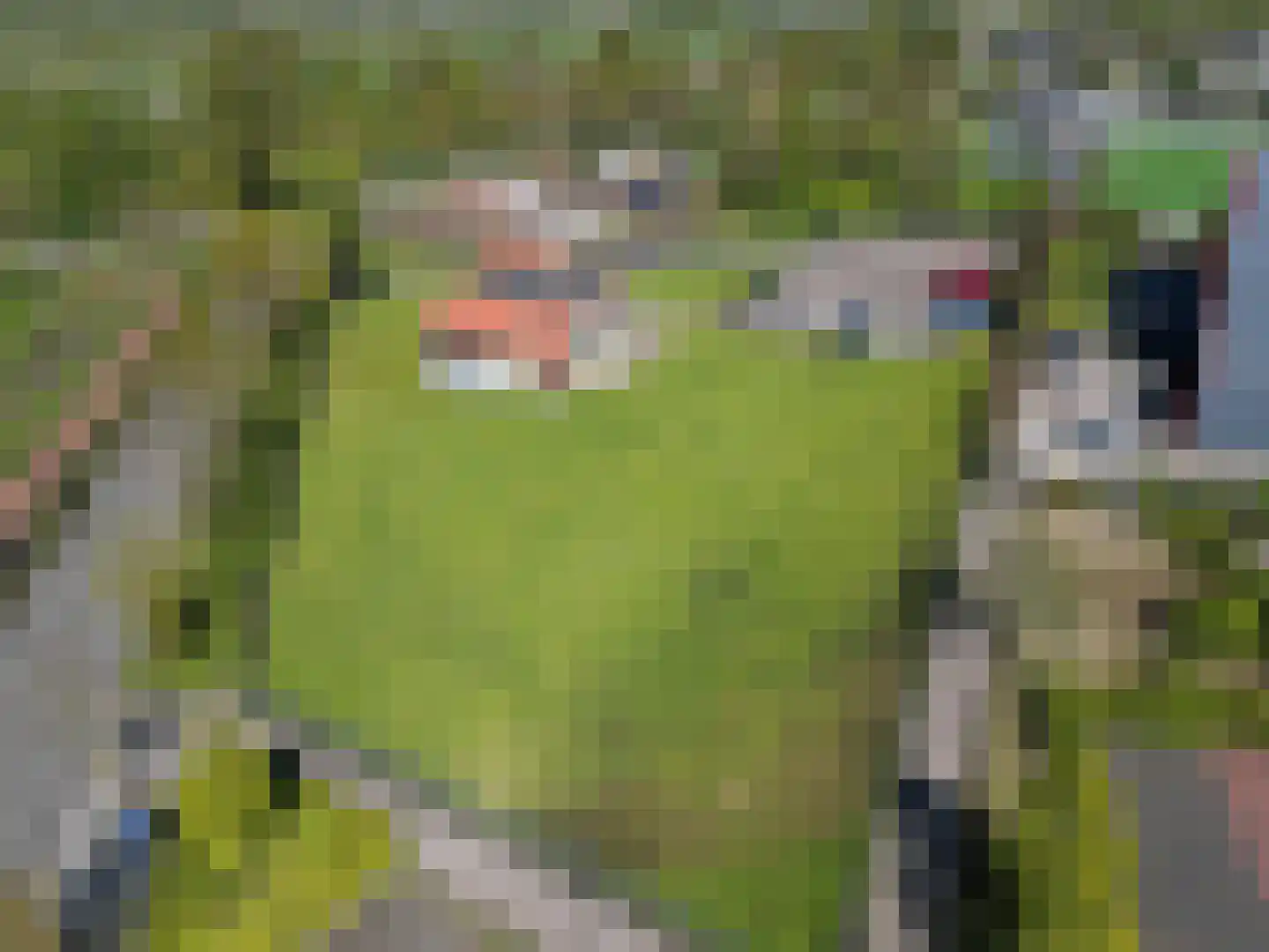 Peizerweg 178 Groningen thumbnail 38