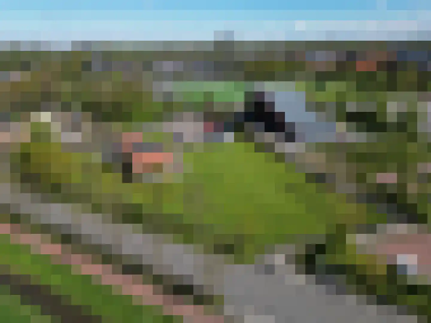 Peizerweg 178 Groningen thumbnail 5