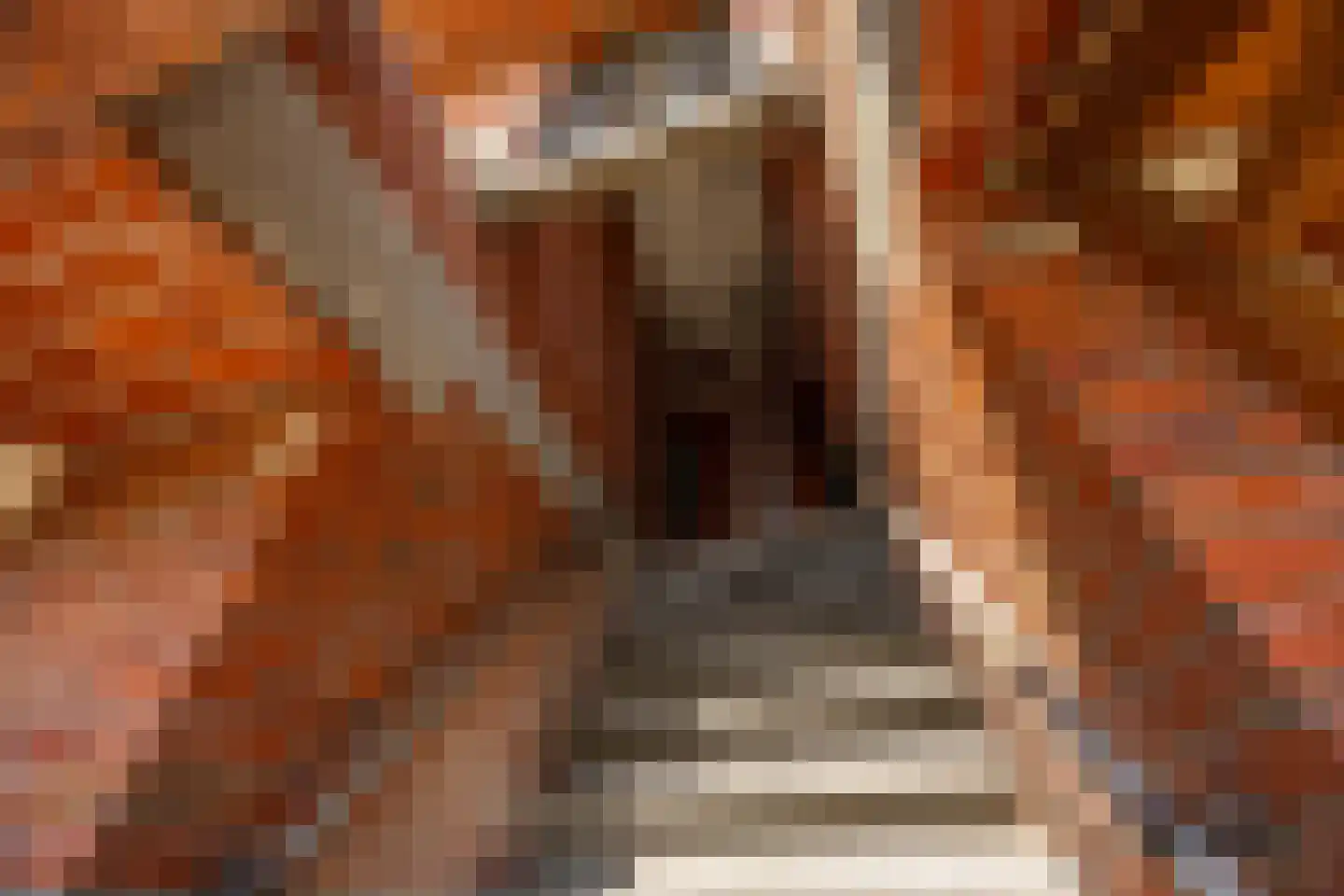 Peizerweg 47 b Groningen thumbnail 10
