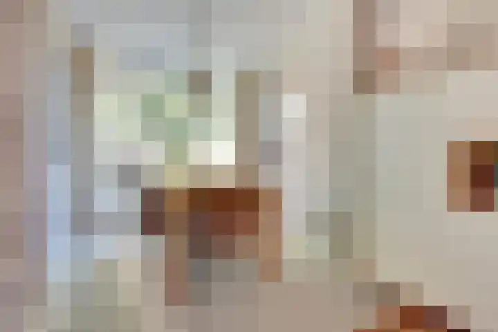 Peizerweg 47 b Groningen thumbnail 34