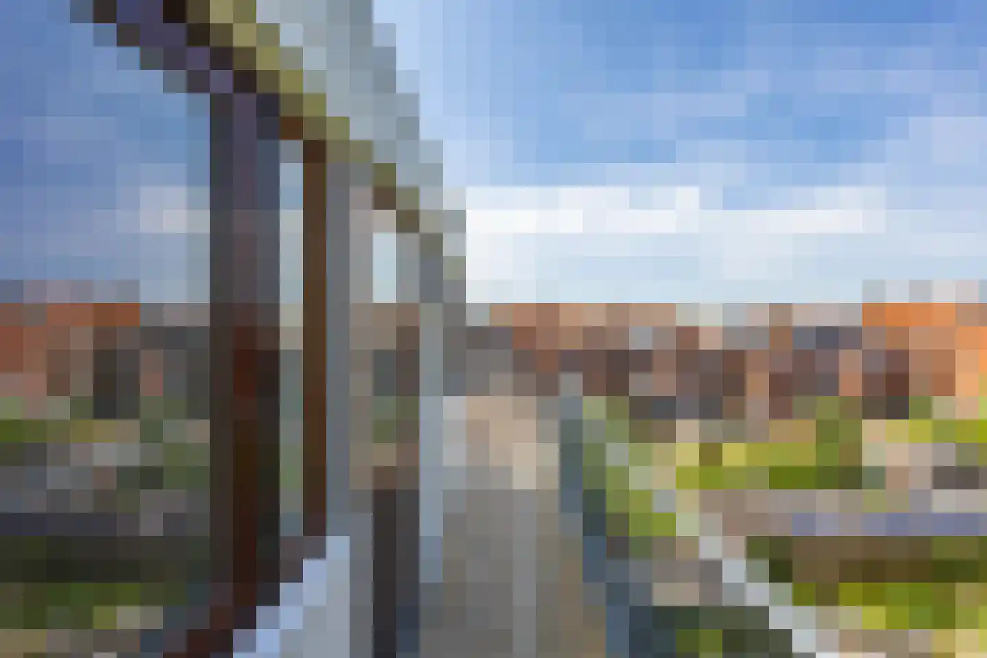 Peizerweg 47 b Groningen thumbnail 51