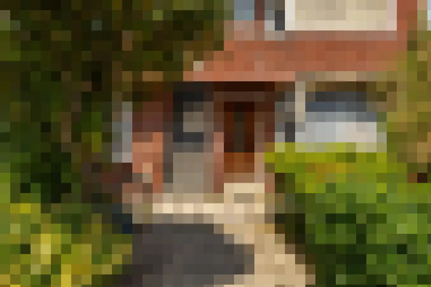 Peizerweg 47 b Groningen thumbnail 9