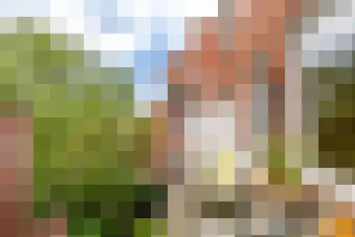 Peizerweg 59 b Groningen thumbnail 22