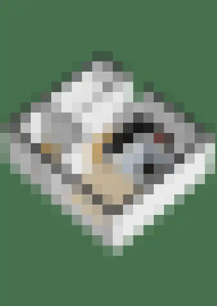 Peizerweg 68 5 Groningen thumbnail 48