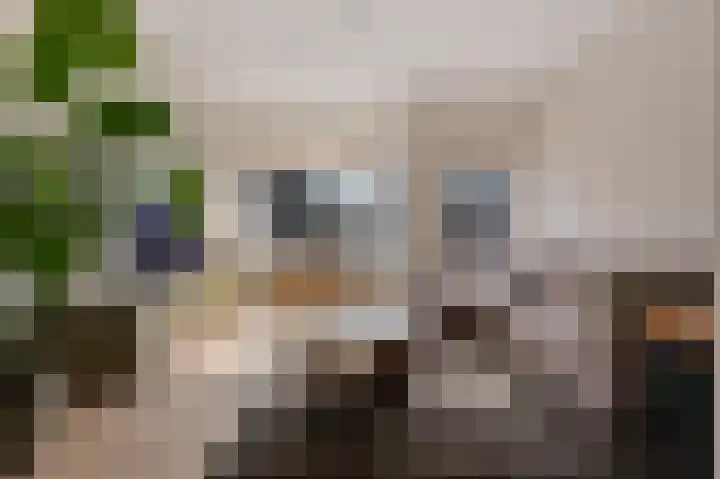 Peizerweg 79 Groningen thumbnail 31