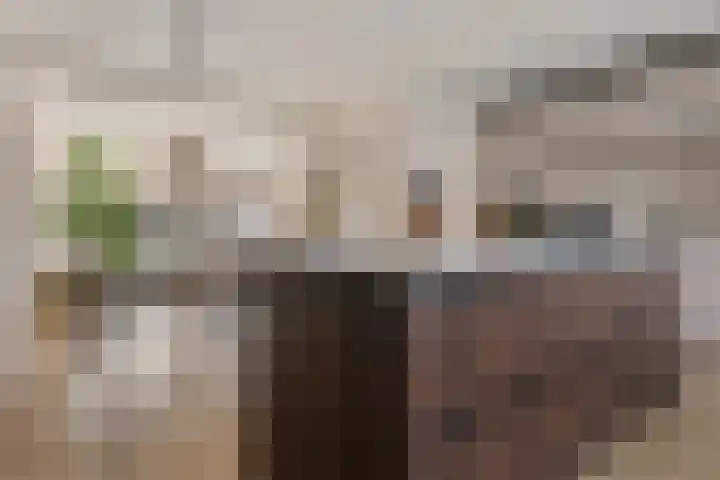 Peizerweg 79 Groningen thumbnail 36