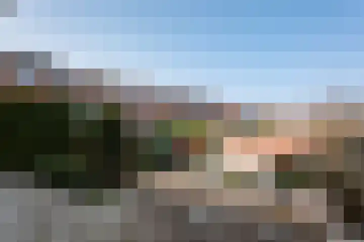 Peizerweg 79 Groningen thumbnail 43
