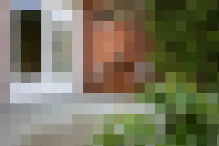 Peizerweg 79 Groningen thumbnail 47