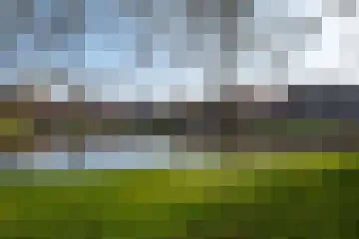 Peizerweg 79 Groningen thumbnail 50