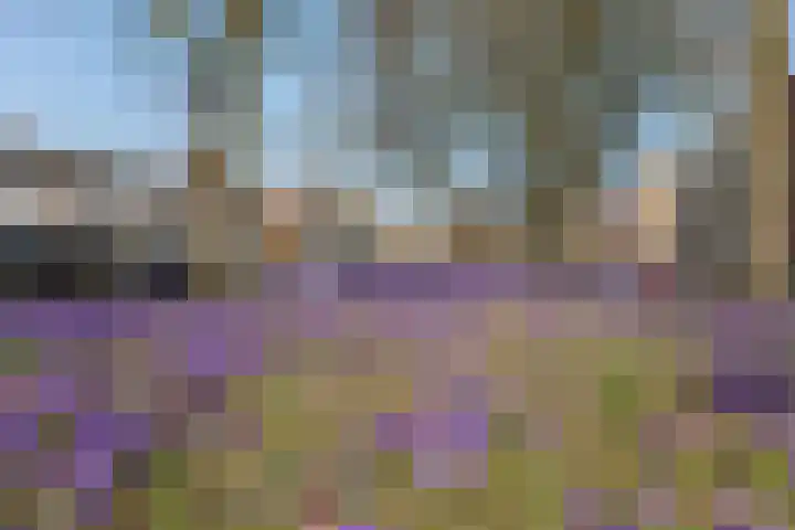 Peizerweg 79 Groningen thumbnail 51