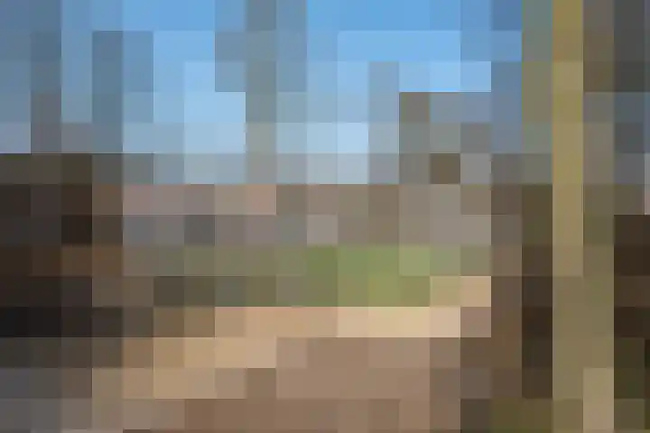 Peizerweg 79 Groningen thumbnail 52