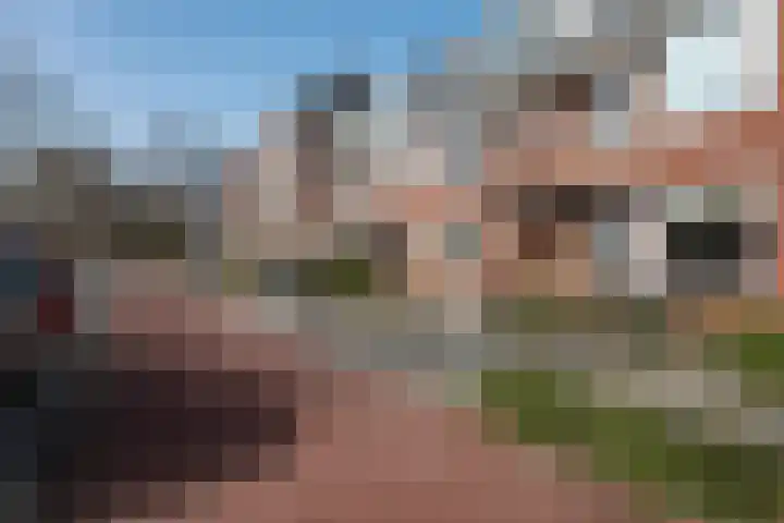 Peizerweg 79 Groningen thumbnail 6