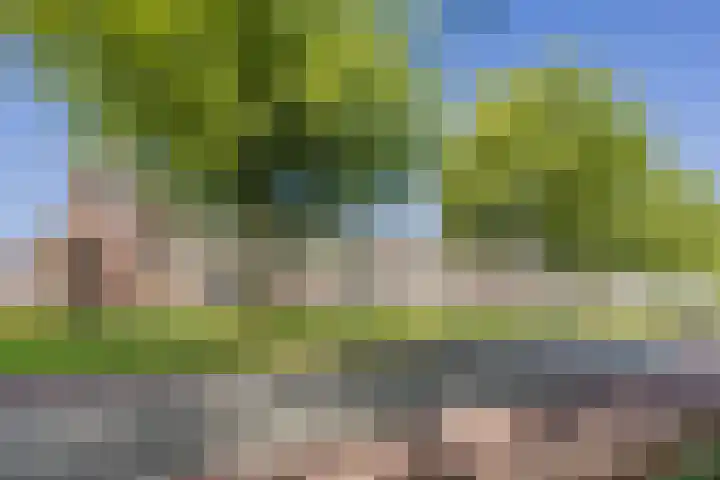 Pelgrimshei 32 Best thumbnail 37