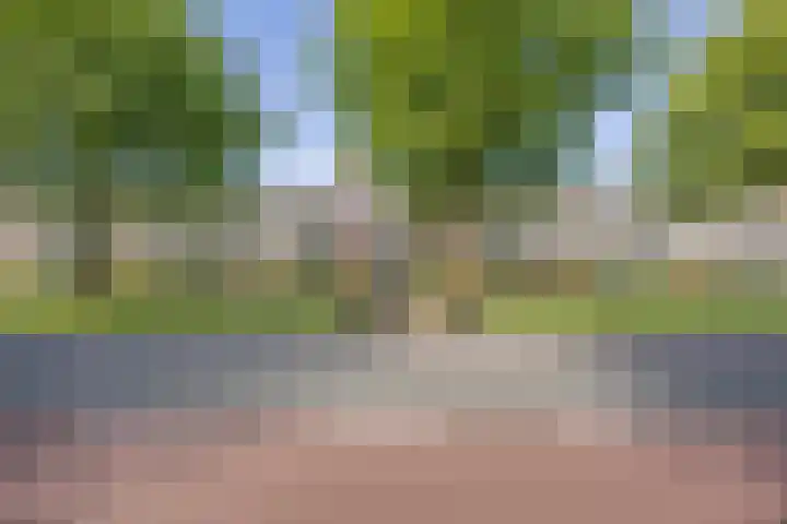Pelgrimshei 32 Best thumbnail 38