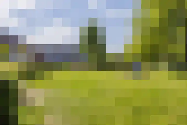 Pelgrimshei 32 Best thumbnail 42