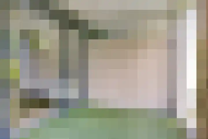 Pelgrimshei 8 Best thumbnail 23