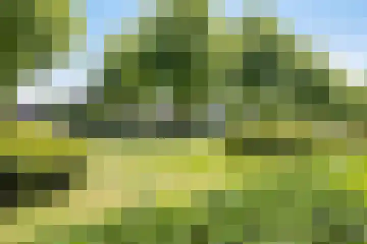 Pelgrimshei 8 Best thumbnail 25