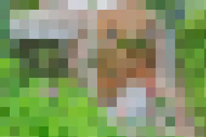 Pelikaan 46 Ridderkerk thumbnail 11