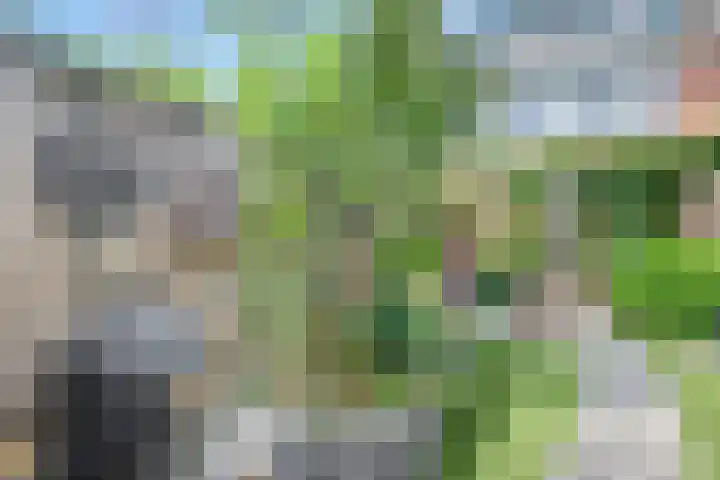 Pelikaan 46 Ridderkerk thumbnail 12