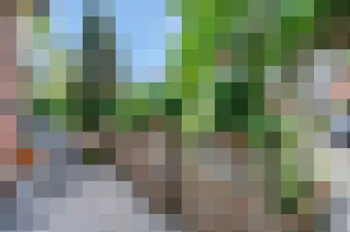 Pelikaan 46 Ridderkerk thumbnail 15