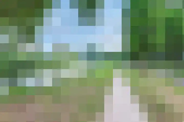 Pelikaan 46 Ridderkerk thumbnail 31