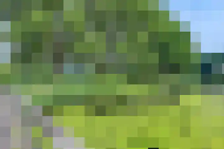 Pelikaan 46 Ridderkerk thumbnail 32