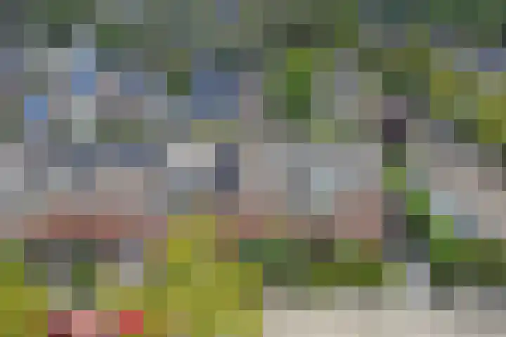 Pelikaan 46 Ridderkerk thumbnail 33