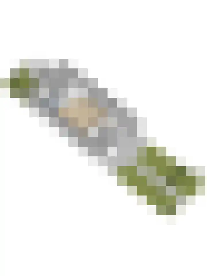 Pelikaan 46 Ridderkerk thumbnail 43