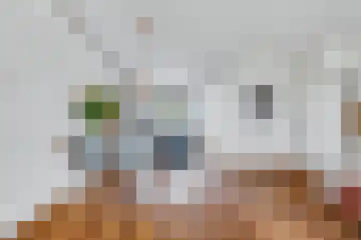 Pelikaan 46 Ridderkerk thumbnail 6