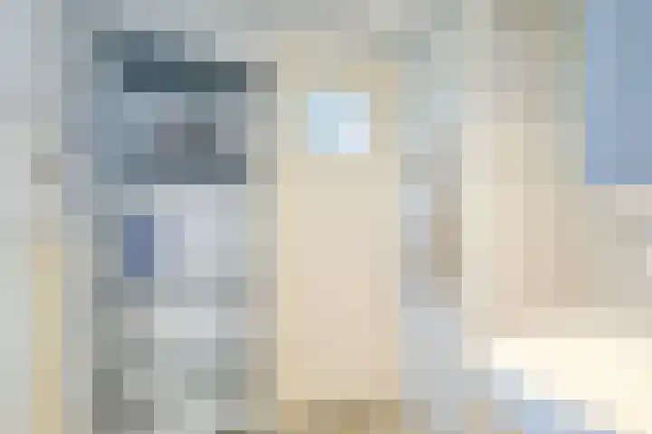 Pelikaanhof 68 Beverwijk thumbnail 22